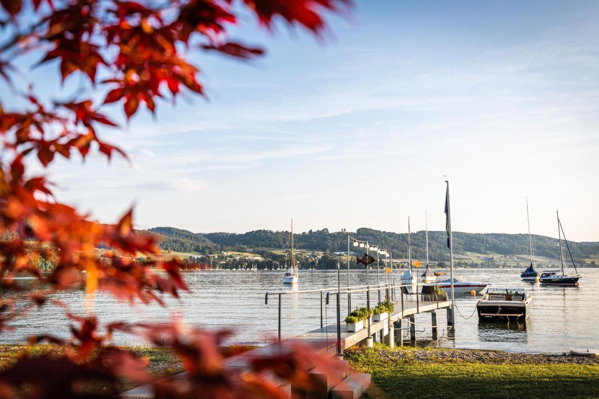 Hotel Residenz Seeterrasse Restaurant & 3*